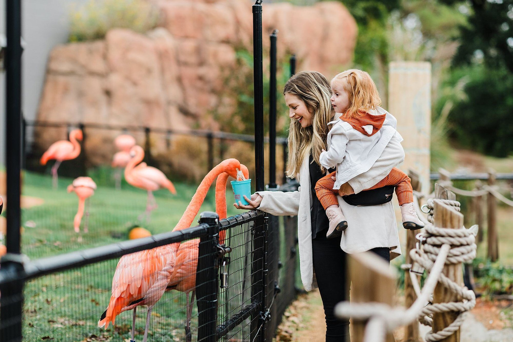 1xfl1qqg_884F7FC0-E51A-BEDD-86B8A5B8AAE969CF-884f7e93937ee29_884f8b33-a17e-dbbd-2d731aa7b0003ddb 1xfl1qqg_884F7FC0-E51A-BEDD-86B8A5B8AAE969CF-884f7e93937ee29_884f8b33-a17e-dbbd-2d731aa7b0003ddb