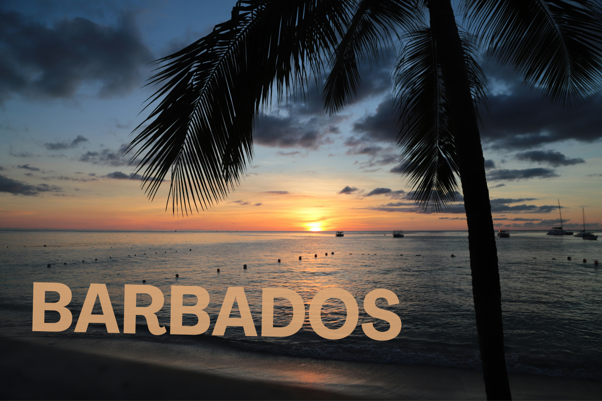 Barbados new