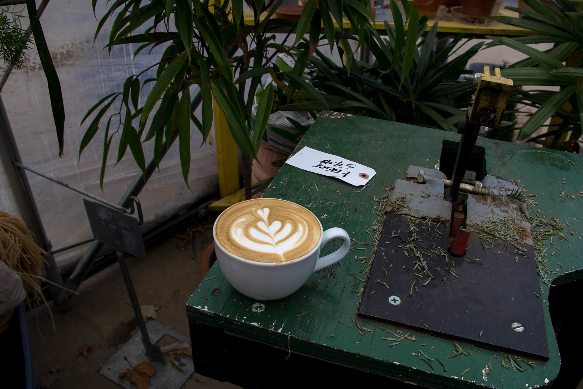 Coffee+in+the+Greenhouse