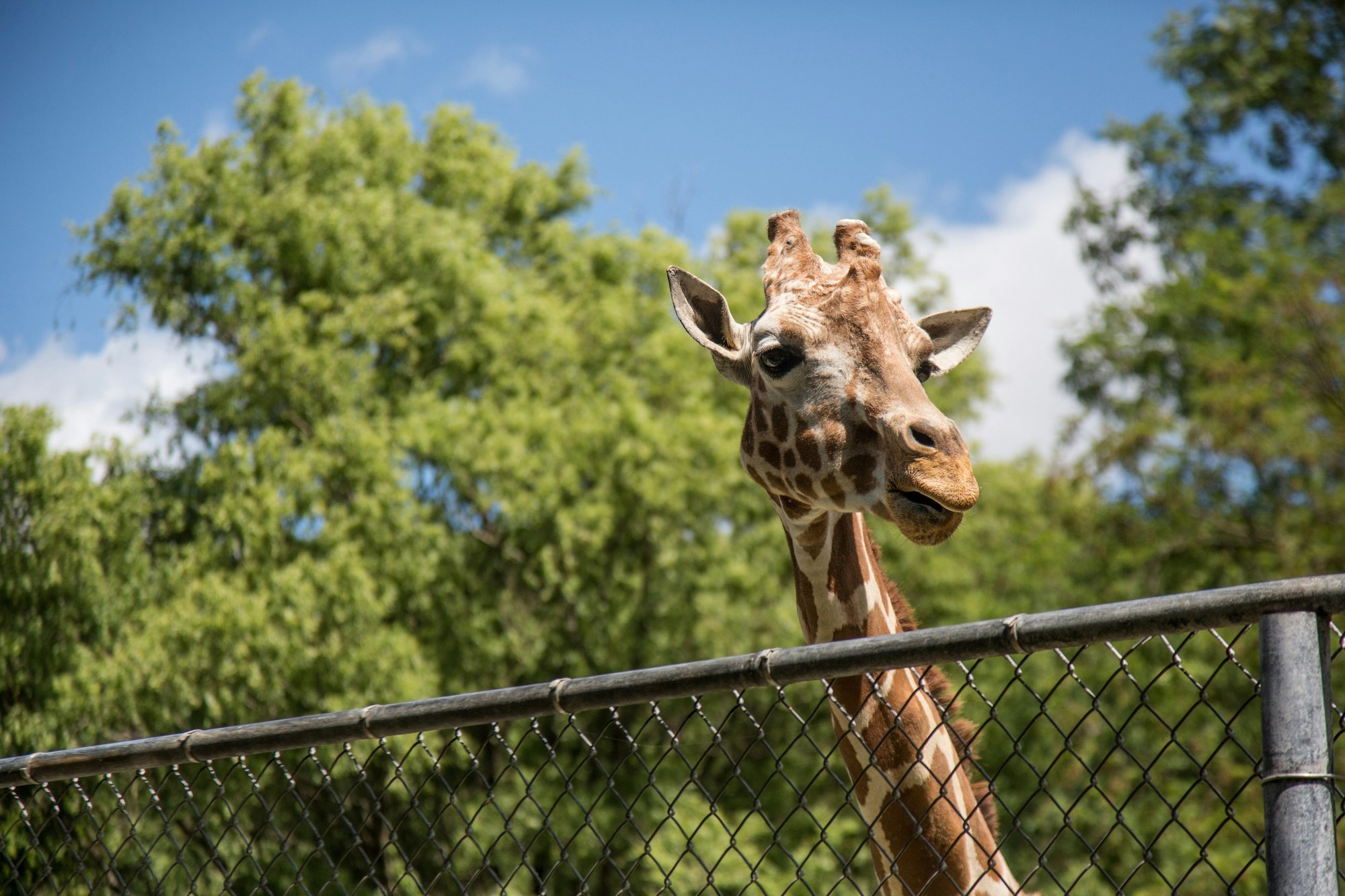 TulsaZoo